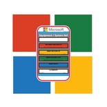 MICROSOFT VINYL